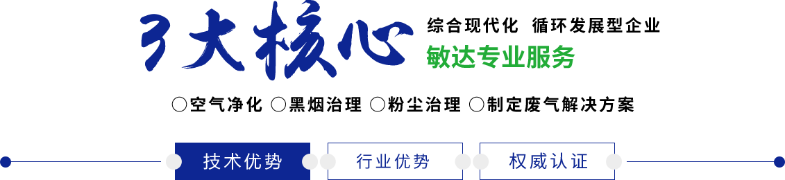 肏50多岁老女人老胖逼敏达环保科技（嘉兴）有限公司